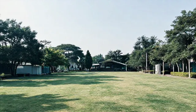 内容管理中AI搜索优化套餐的使用误区